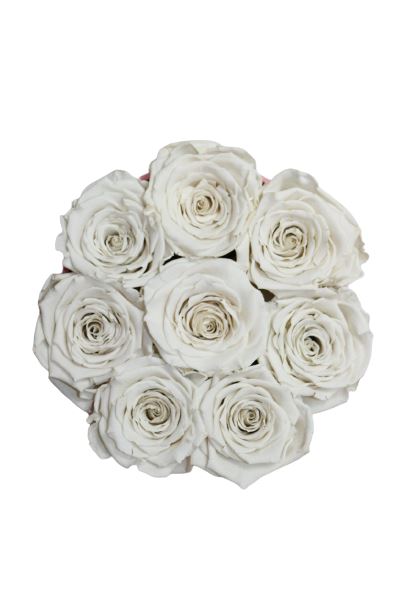 Flowerbox White