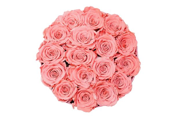 Flowerbox Rose