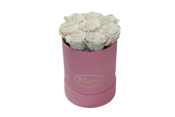 Flowerbox White