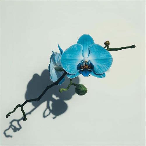 Exotische Blumen