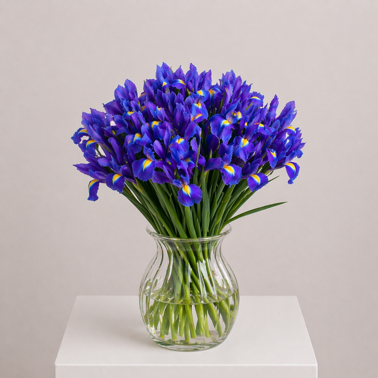 Iris magic