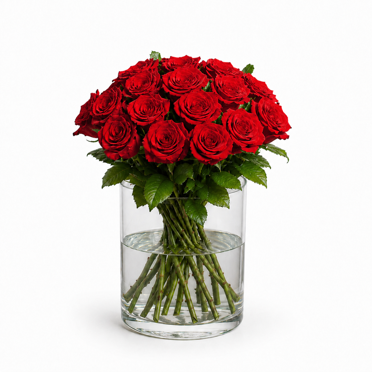 Klassischer Rosenstrauß mit 21 roten Premium-Rosen